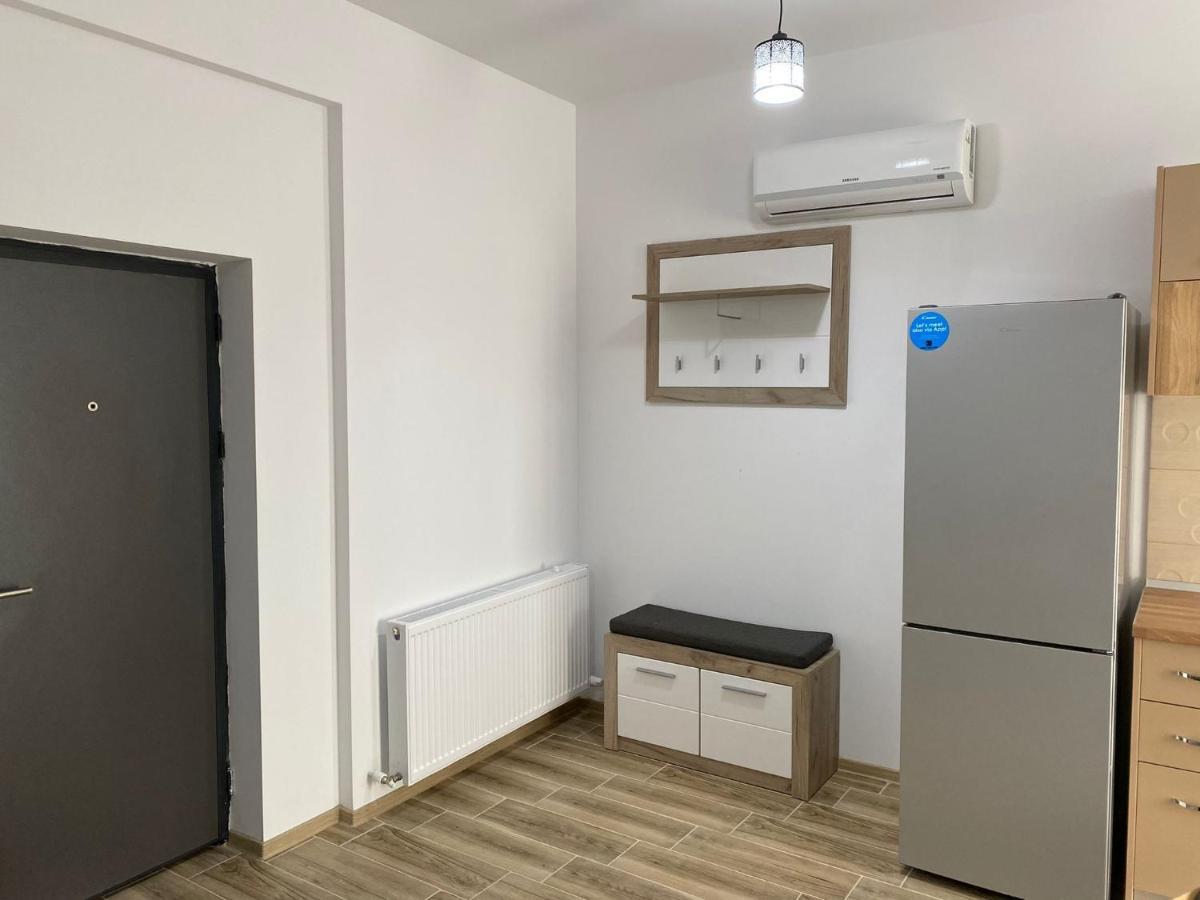 Apartament Lucian Lägenhet Râmnicu Vâlcea Exteriör bild