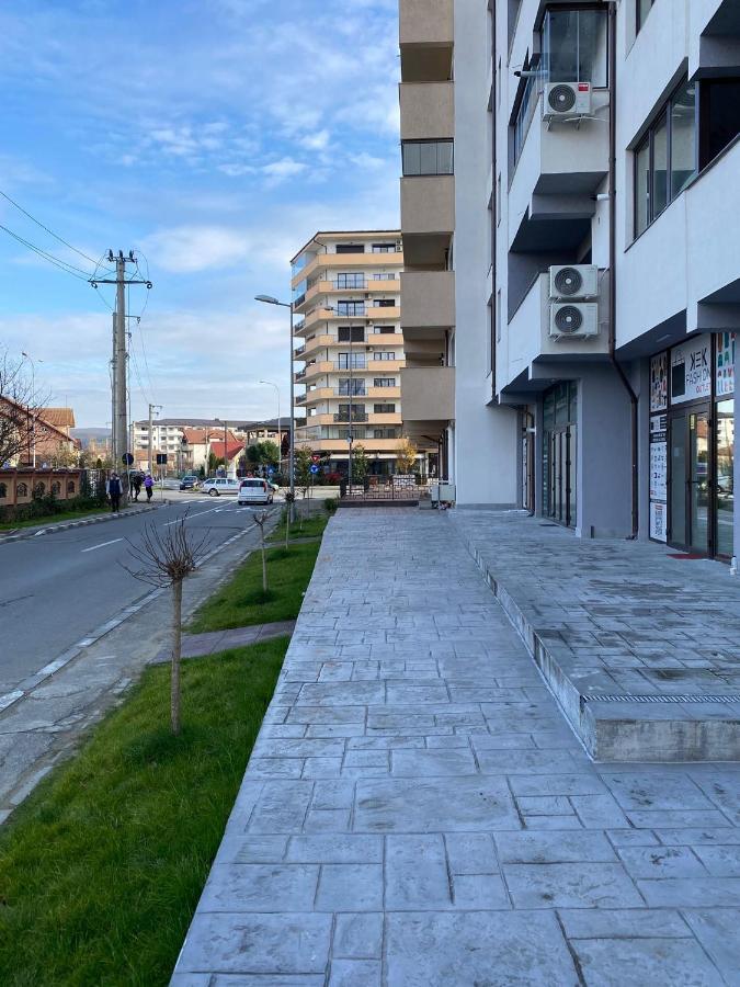 Apartament Lucian Lägenhet Râmnicu Vâlcea Exteriör bild